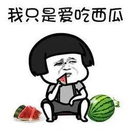 娱乐吃瓜酱读书