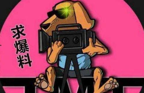 吃瓜娱乐神盾,揭秘神盾局背后的神秘故事